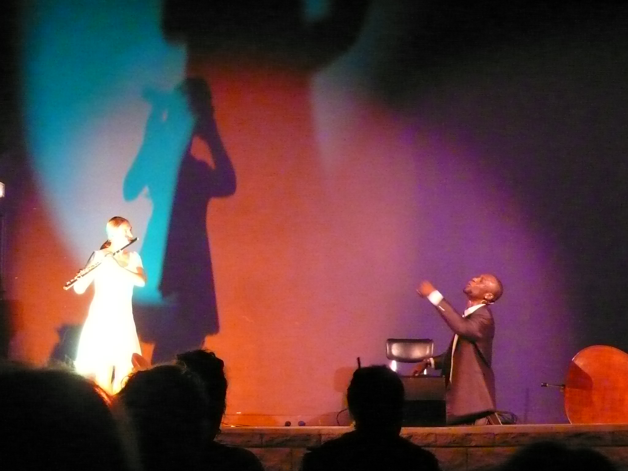 « La Randonnée de Samba Diouf » - représentation avec Thierno Diallo et Lisa Raphel (flûte et contrebasse)